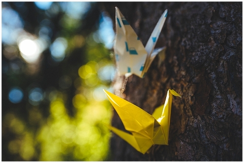 Mariage champêtre 66