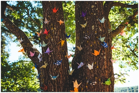 Mariage champêtre 66