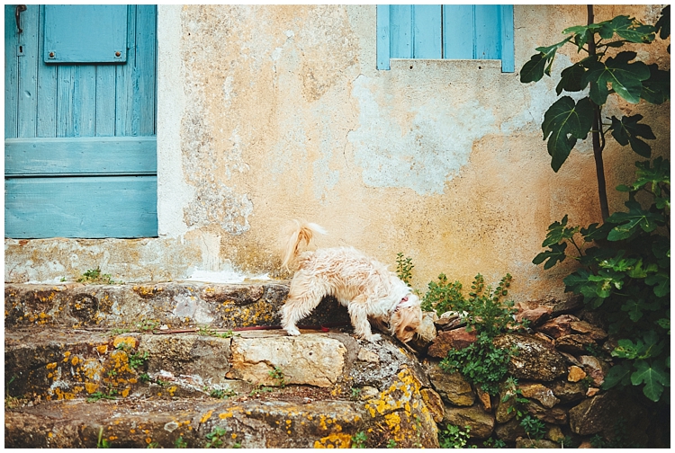 xxx_0397.jpg xxx_0397.jpg