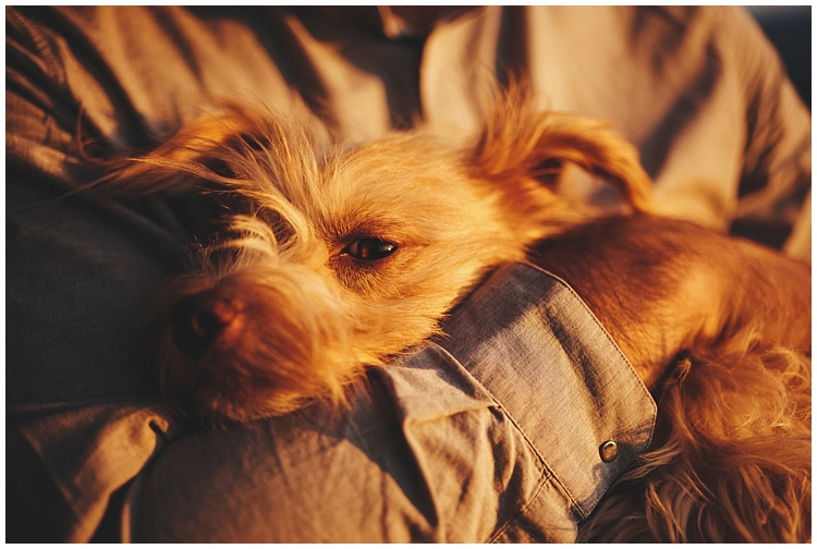 xxx_0423.jpg xxx_0423.jpg