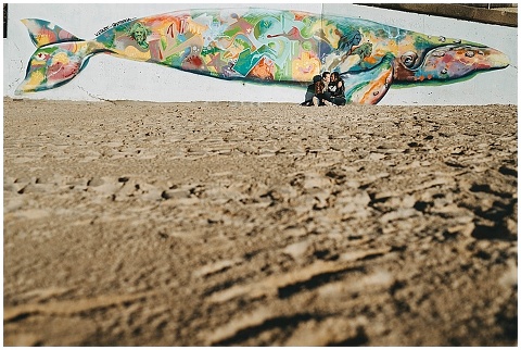 Bondi Beach Graffiti Whale