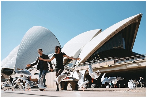 Chasing pigeons at Sydney Opera
